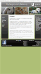 Mobile Screenshot of dyrlaegehusetiballerup.dk